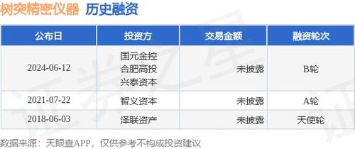 樹突精密儀器B輪融資完成，國元金控與合肥高投等機構注資，網(wǎng)絡技術賦能高端儀器新篇章
